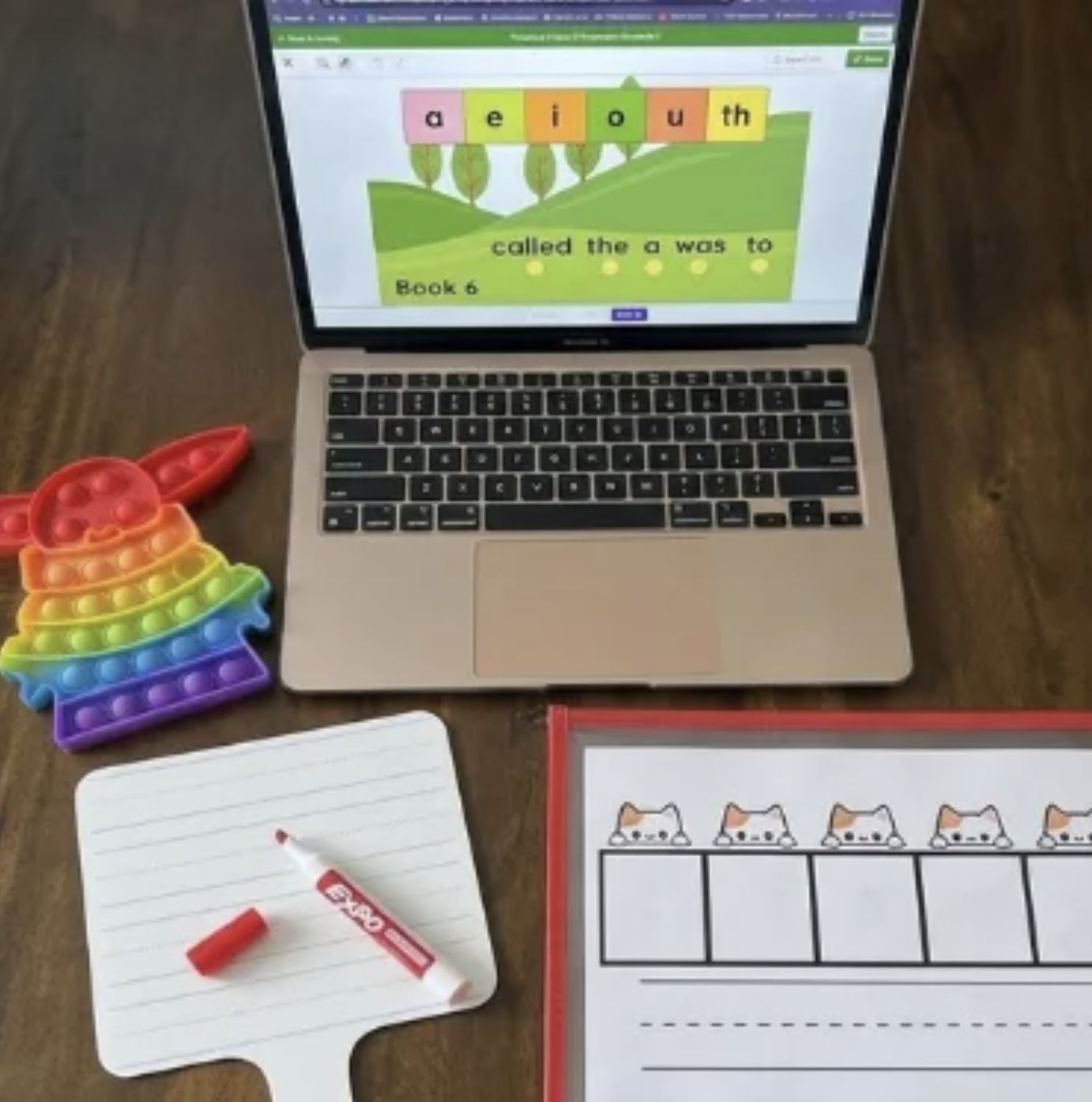 What Does Virtual Dyslexia/Literacy Intervention Look Like?