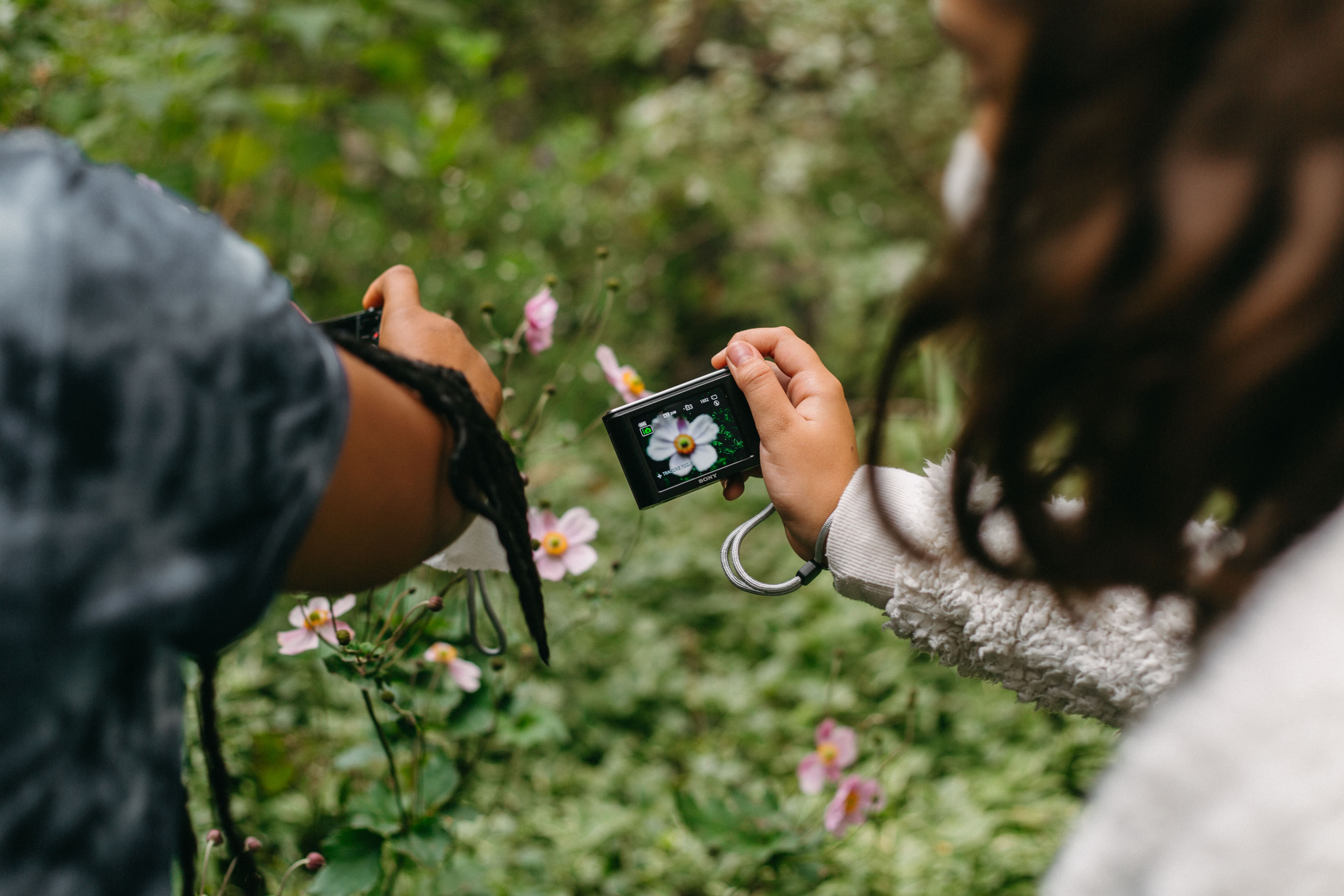 A New Way to See: Photography for Your Homeschool Day